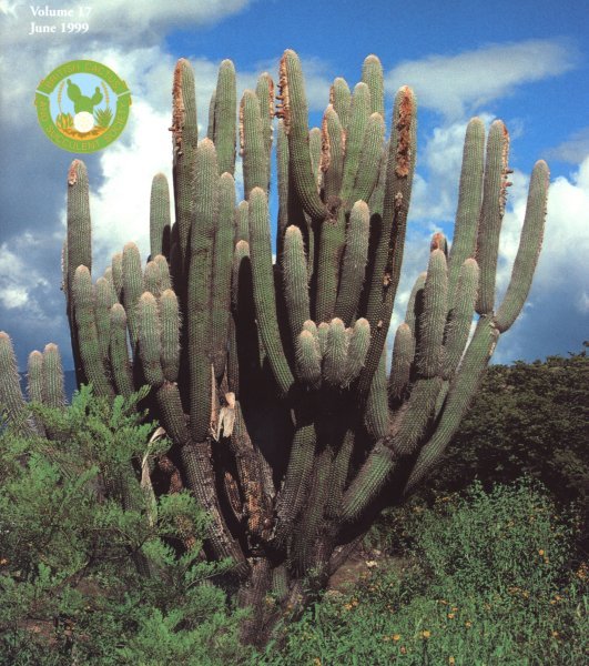 Espostoa lanianuligera